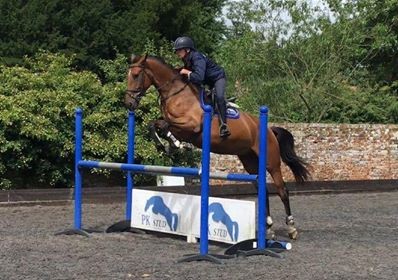 PK Kaloubet as a 4 year old jumping