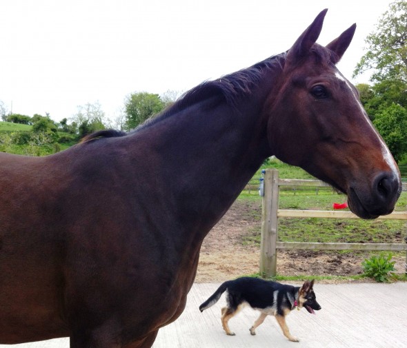 Maggie with Polly beauty