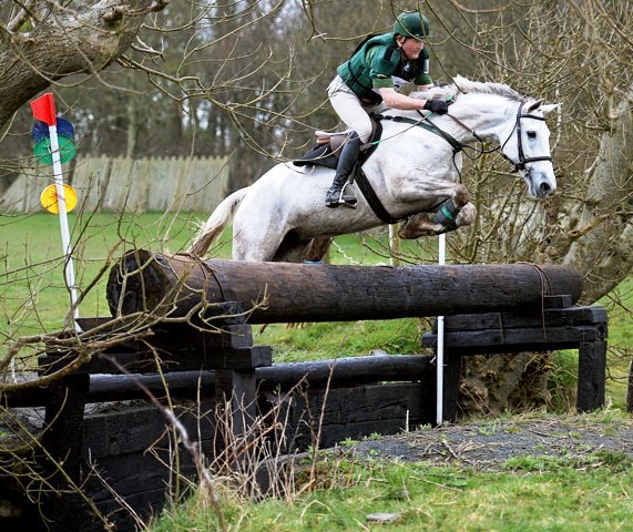 EMS Florence grey mare