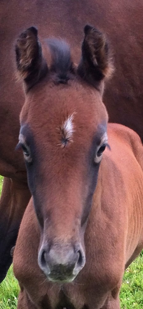 Rocco as a baby