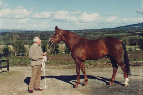 Horace Thady Ryan