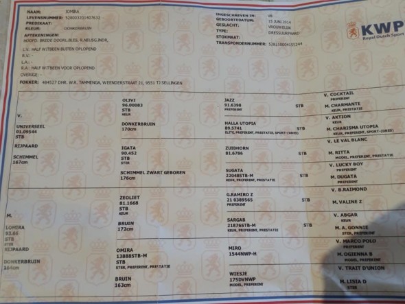 breeding HSI overstamped