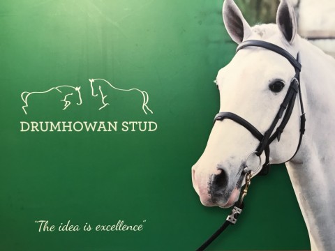Drumhowan brochure