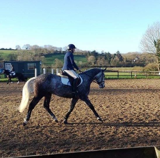 Ringfort String of Pearls 75% dressage!