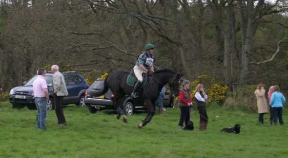 Ringfort Valentino winning ways