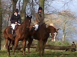 LOUGHANMORE NEW YEARS DAY BLONDIE AND RUBICON