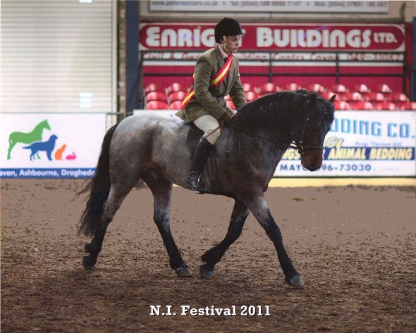 The Square Rigmarole Winning at Cavan