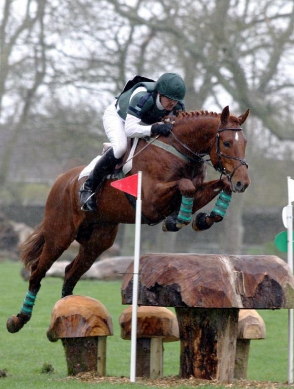 Ringfort Tinkatoo Winning Tyrella