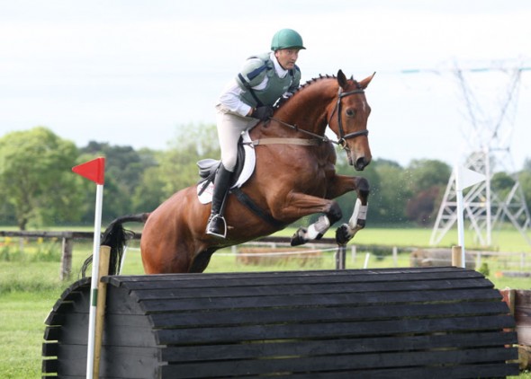 Ringfort Rubicon at Tatts qualified for RDS