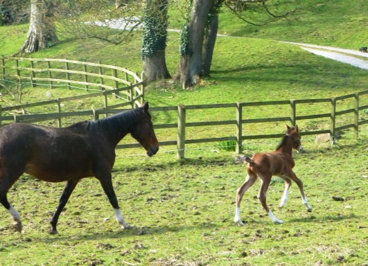 go baby leading the way