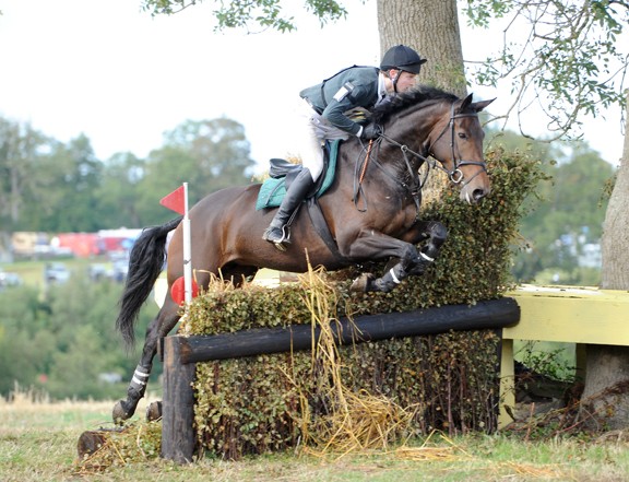 Ringfort Swan Song second at Scarvagh