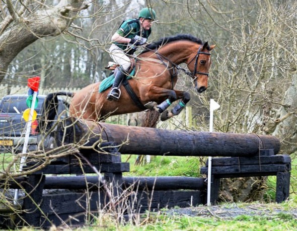 Ringfort Rubicon Bay Gelding