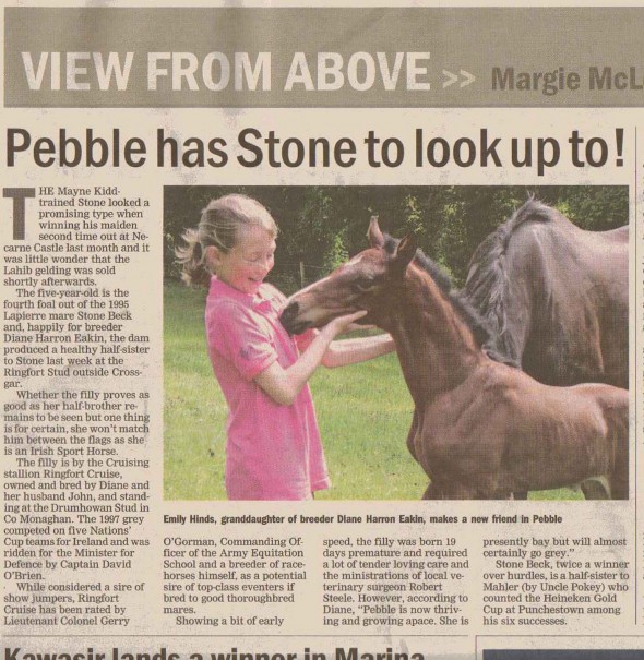 Pebble and Emily in Irish Field Irish Field picture
