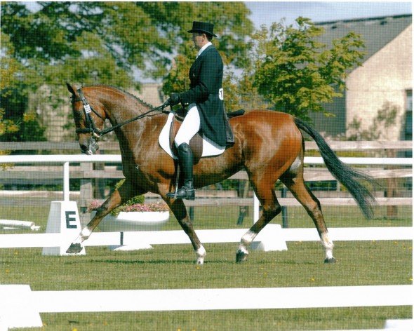 Ringfort Rara Ruby at Tatts Rubicon's dam