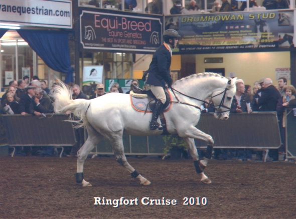 Ringfort Cruise Ringfort Cruise