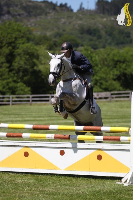 clear showjumping