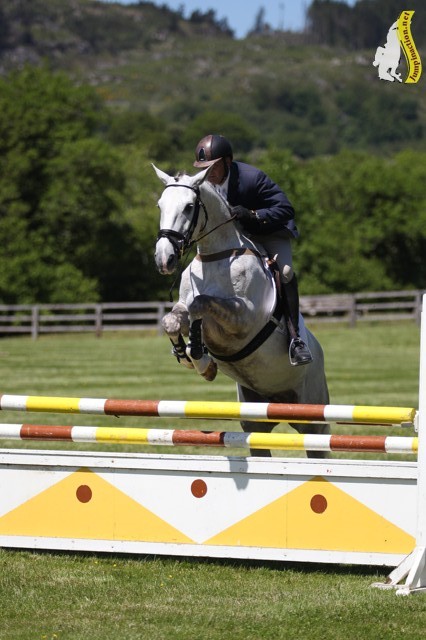 flo clear showjumping