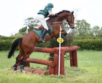 Rubicon winning at Boden Park son of Ringfort Rara Ruby