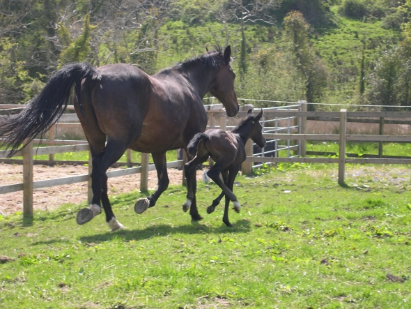 Mother and baby doing well