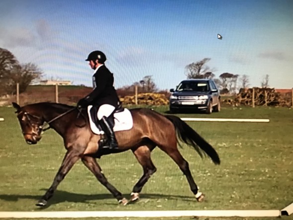 Izzie dressage Tyrella 1