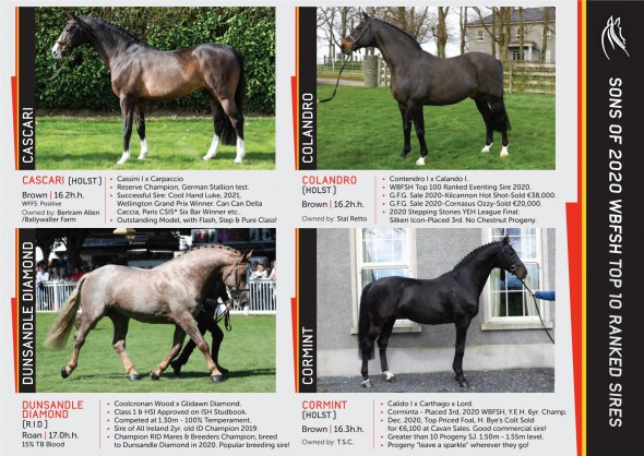 stallion parade 2021