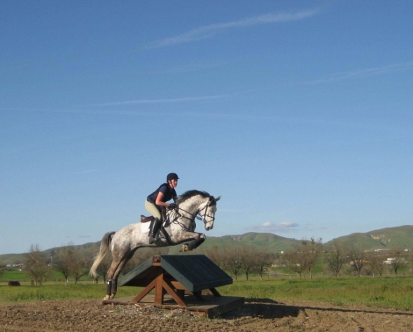 Ringfort Carragheen at Twin Rivers Daughter of Ringfort Cruise excels in Twin Rivers