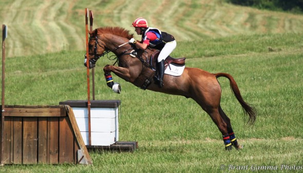 Ringfort Tinkatoo and Woodge 6 tidy jump