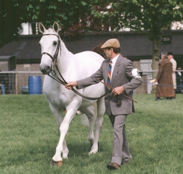 Kilshane Mansha dam of Florence