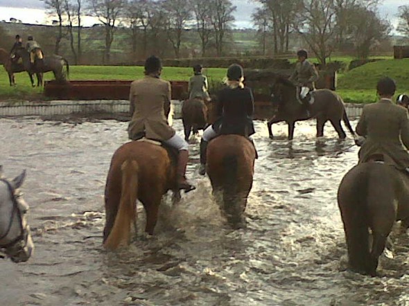 RUBICON AND BLONDIE HUNTING AT LOUGHANMORE