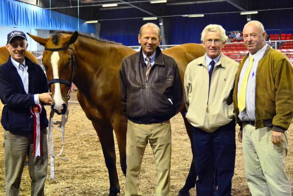 Ringfort Patron Saint Two year old Futurity winner 2014